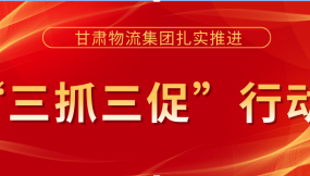  真抓實干促落實  踔厲奮發(fā)謀發(fā)展 --甘肅物流集團“三抓三促”行動工作綜述